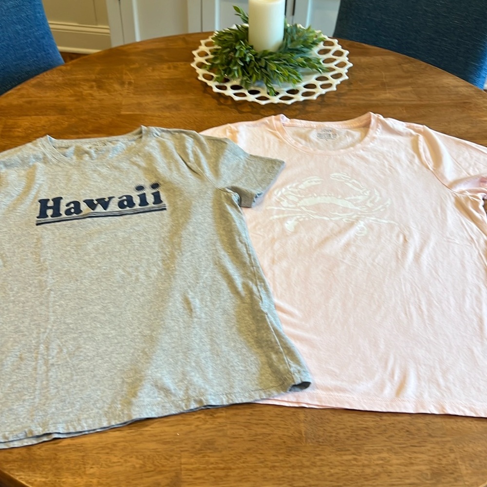 Two JCrew tee shirts, graphic tees